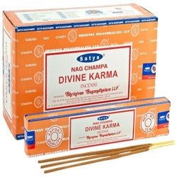 Satya Divine Karma